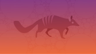 Numbat Wallpaper