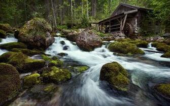 Forest River Photo Wallpaper And Image Pictures