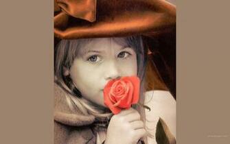 Kim Anderson Wallpaper Prints Art