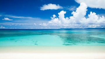 Tropical Beach 4k Ultra HD Wallpaper Teahub Io