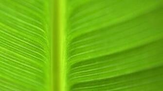 Desktop Gallery Wallpers Background Wallpaper Jpg