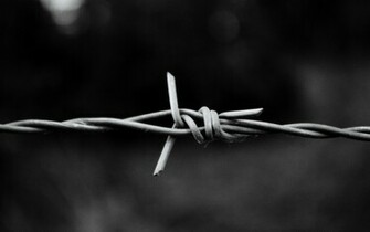 Macro Barbed Wire Wallpaper HD