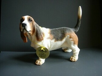 Basset Hound Wallpaper