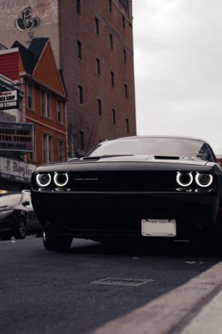 Mustang Wallpaper HD Hq