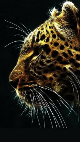 Here Are The Top Best iPhone Background