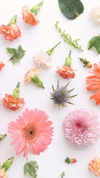 Cute Floral Wallpaper Qfqx8rts01u2hhxr