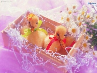Cute Valentines Day Wallpaper HD In Imageci