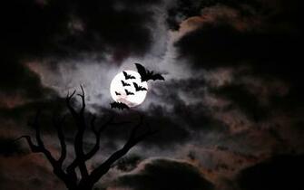 Scary Halloween Desktop Wallpaper Best Design