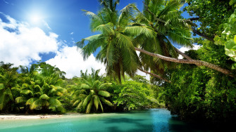 Tropical 4k Ultra HD Wallpaper