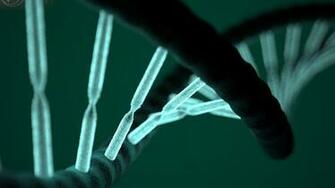 3d Dna Double Helix Wallpaper