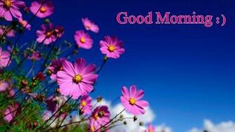 Good Morning HD Wallpaper