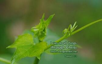 Philippians Desktop Background Nature Bible