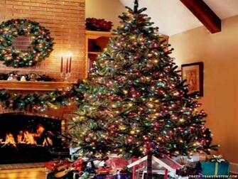 Storage Ode To The Fallen Christmas Tree Video Of Week
