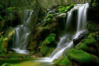 Faerie Glen Wallpaper