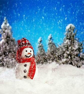 Country Snowman Wallpaper Hot Sale