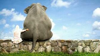 Elephant Wallpaper For Laptop