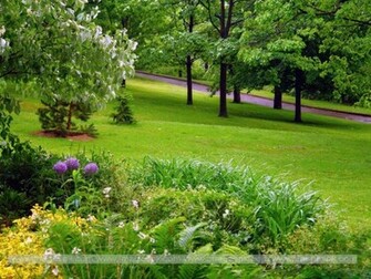 Beautiful Green Garden Wallpaper