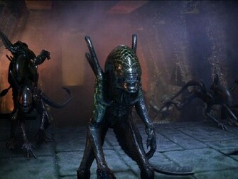 Alien Movie HD Wallpaper In Movies Imageci
