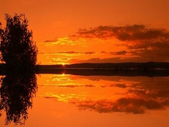 Best Wallpaper Natural Mirror