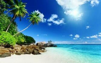 Tropical Desktop Background Related Keywords