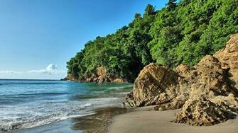 Holiday In Martinique