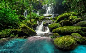 Beautiful Waterfall In Green Forest Wallpaper High Quality