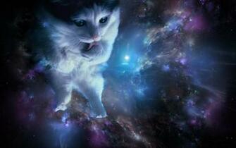 Cat In Space Wallpaper Hq