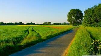 Summer Nature Landscape Wallpaper Image