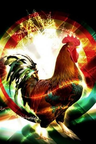 Rooster Animal iPhone Wallpaper S 3g
