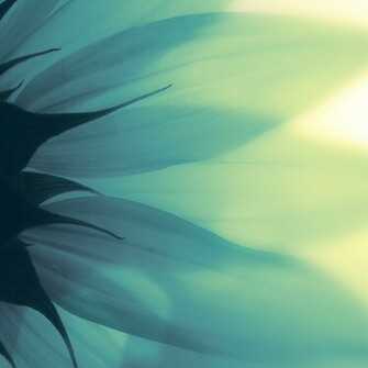 Cool Summer iPad Wallpaper