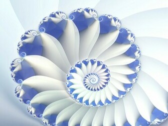 Blue Nautilus Wallpaper Jpg