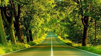 High Definition Nature Wallpaper Image
