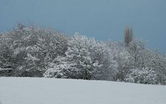 Winter Wonderland High Quality And Resolution Wallpaper