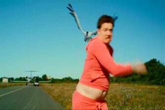 Brendan Fraser Image Furry Vengeance HD Wallpaper And