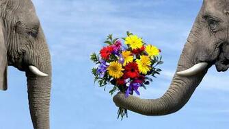 HD Wallpaper 1080p Nature Love Nice Pics Gallery