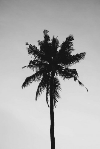 Cool Black And White Aesthetic Wallpaper