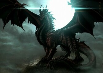 Water Dragon Wallpaper HD Area