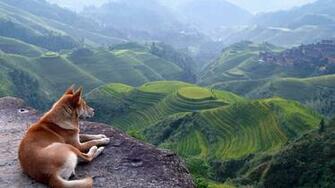 Wallpaper Mountain Landscape Nature