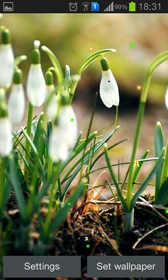Early Spring Nature Live Wallpaper For Android