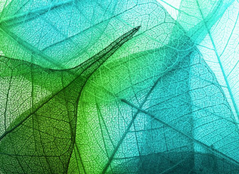Textile Trends Fall Winter Green Leaf Background