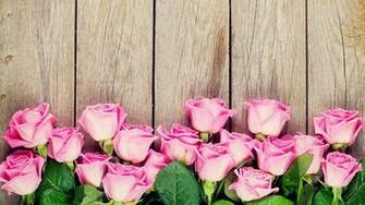 Blumen Wallpaper Pink Roses In Wood HD