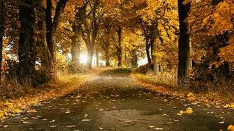 Garden Amazing Admirable Seasonal Wallpaper For Desktop Background