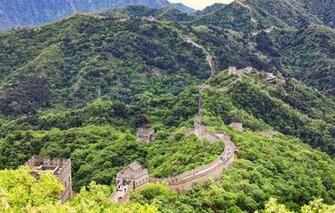 Wallpaper Greens Forest Trees Mountains People Wall Panorama