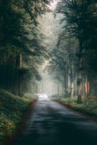 October Memories Sweden By G Ran Ebenhart On 500px Background