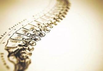 Bend Oregon Chiropractor Hawthorn Doctor Chiropractic Central