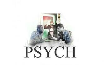 Psych Widescreen Wallpaper Iii By Epicactress