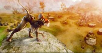 Detailed Introduction Of Archeage Races Ferre Mmorpg Feature