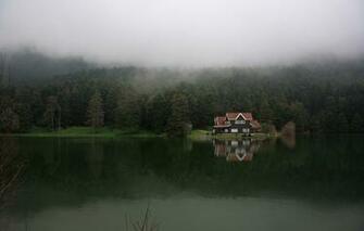 Wallpaper Forest Fog Lake Turkey Bolu Galgut Image For