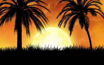 Dancehall Wallpaper