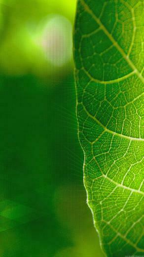 Google Nexus Official Stock Wallpaper Android